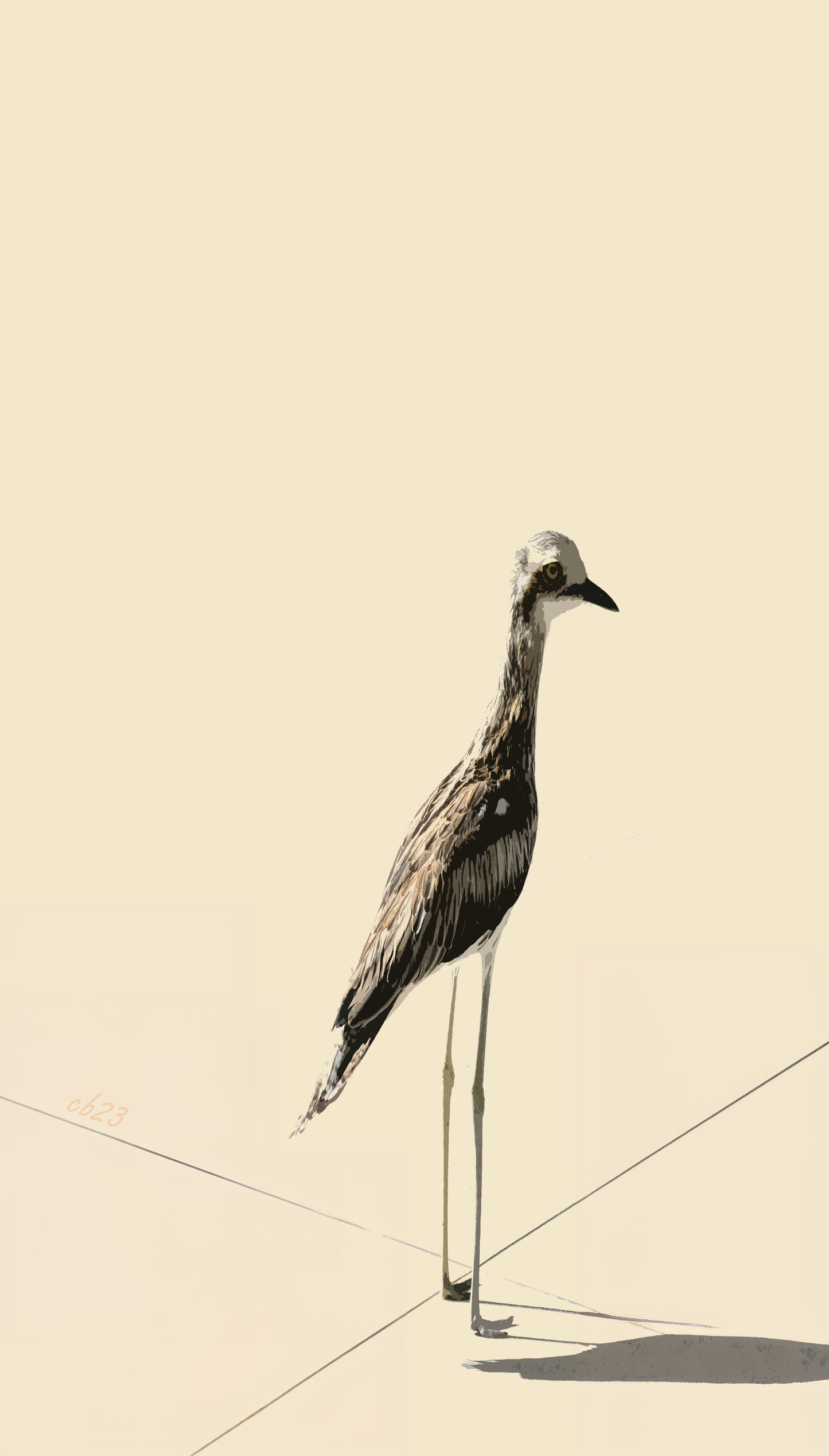 The Watcher